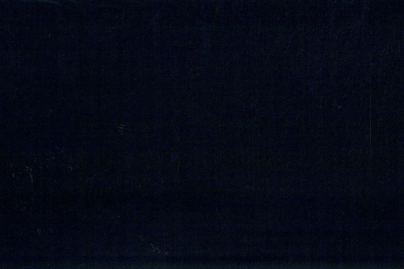 Caesar Romeo 22237-110 NAVY HBONE fabric swatch