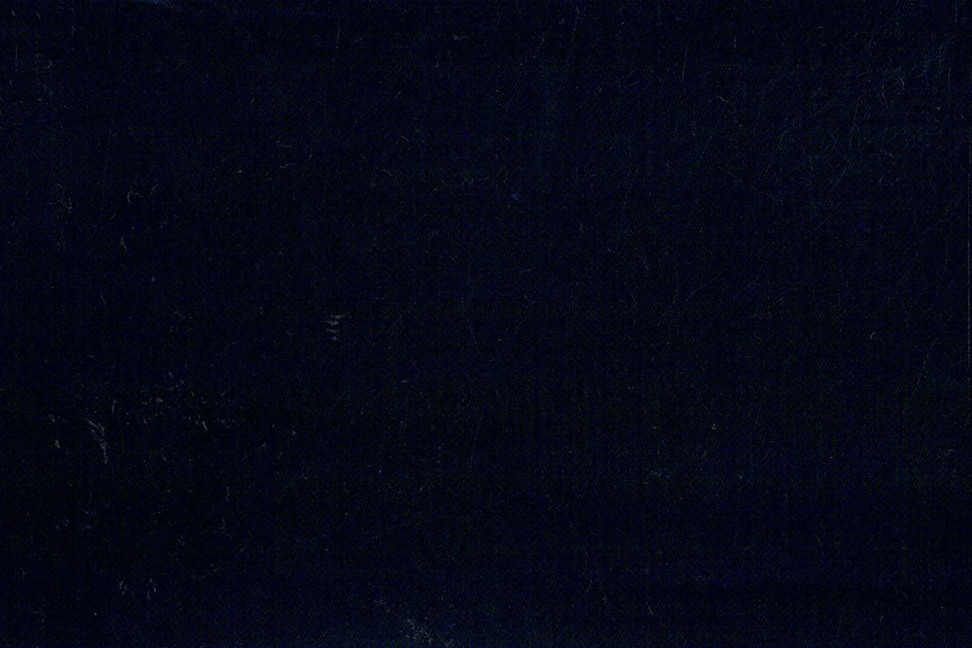 Caesar Romeo 22615-110 NAVY SELF STR fabric swatch