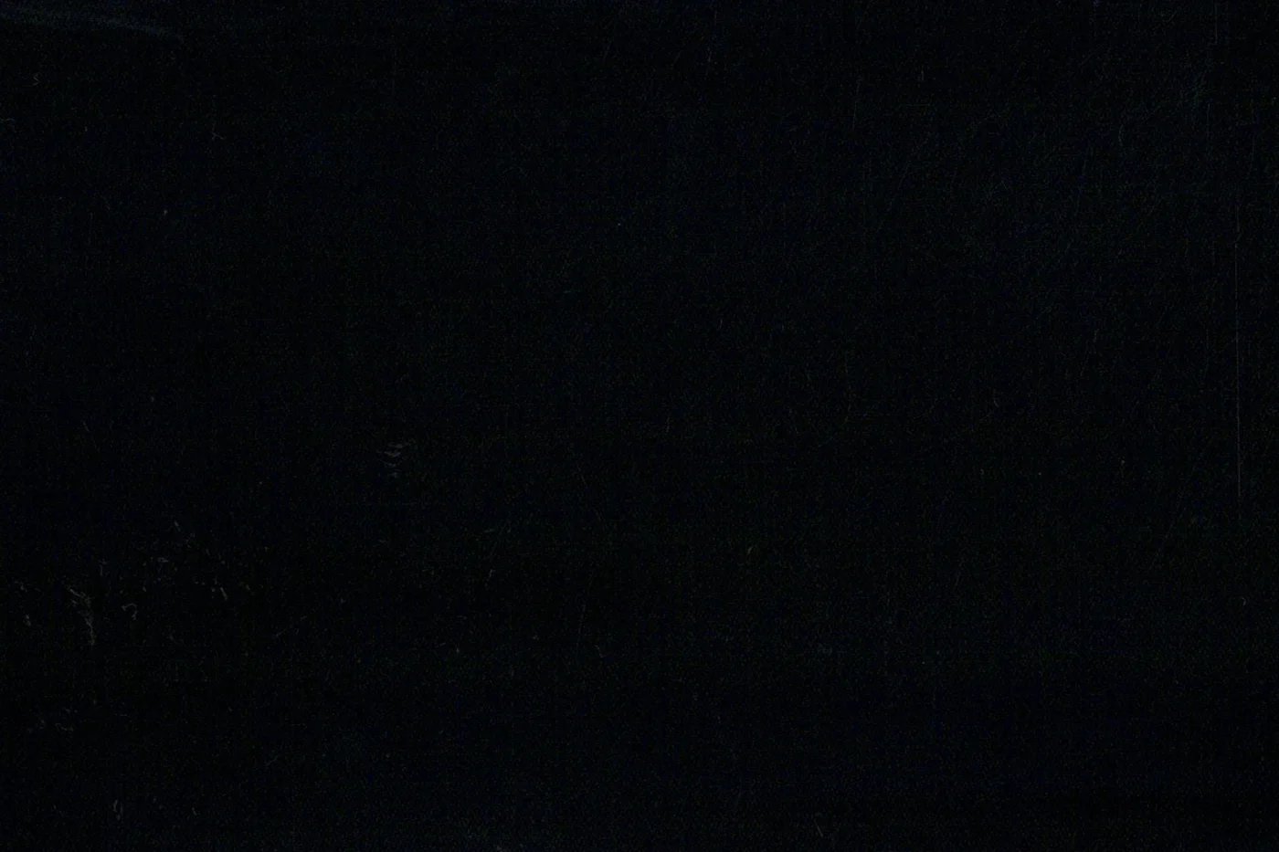 Caesar Romeo 22616-110 BLACK SELF STR fabric swatch