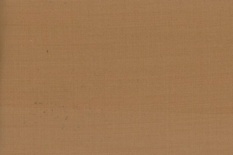 Caesar Romeo 24056-110 FAWN fabric swatch