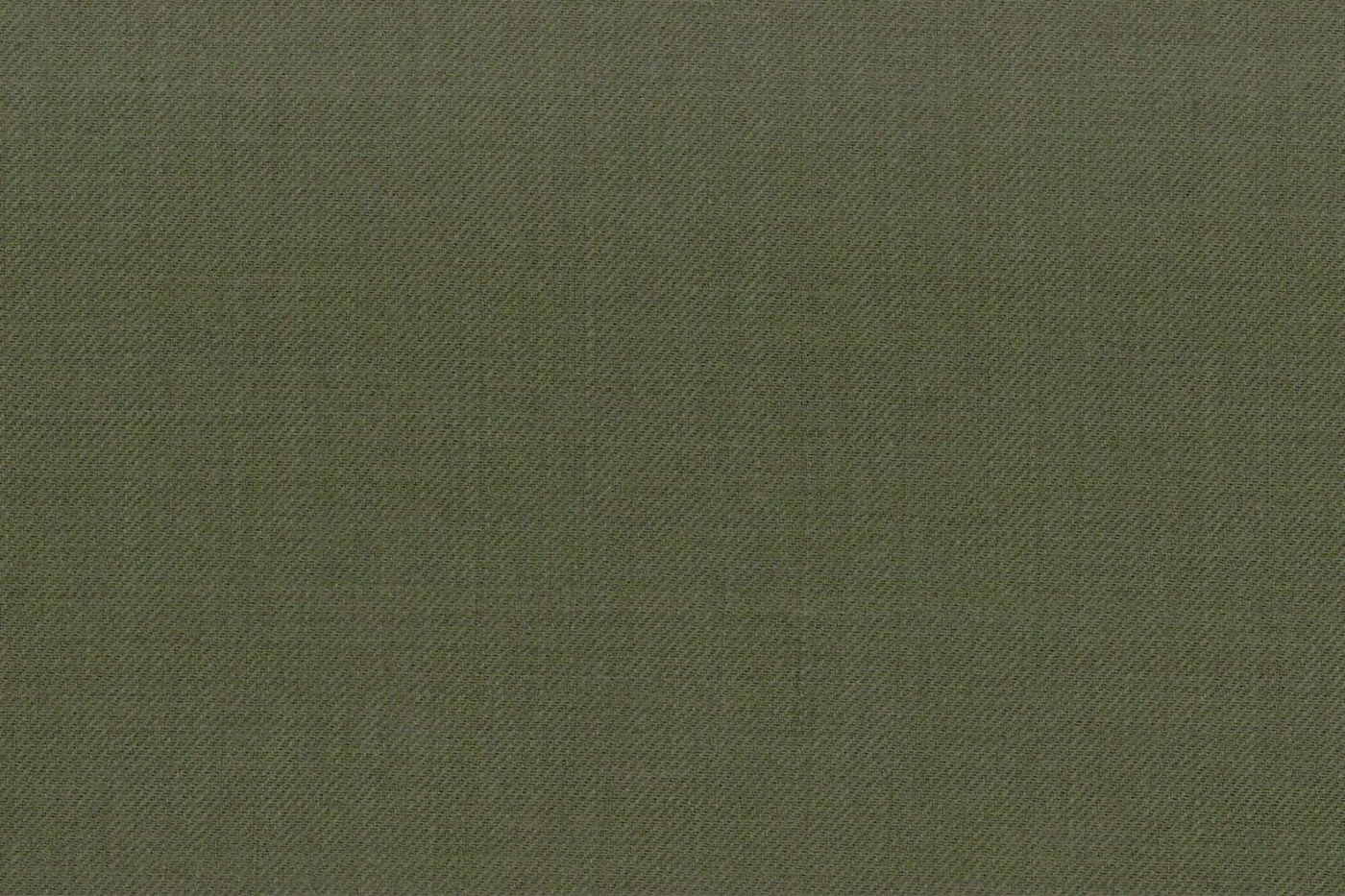 Caesar Romeo 24063-110 LIGHT GREEN fabric swatch