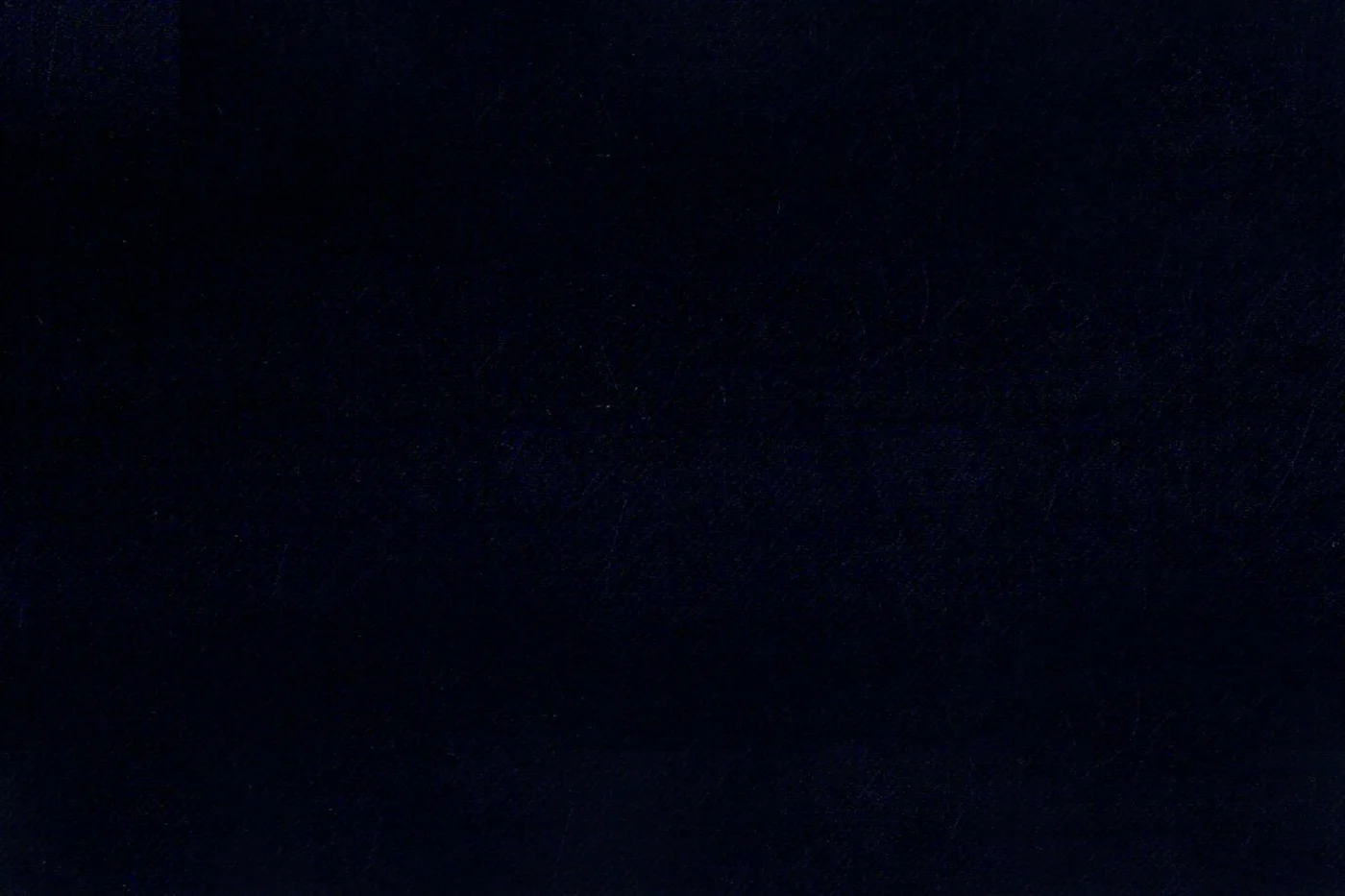 Caesar Romeo 24071-110 NAVY fabric swatch
