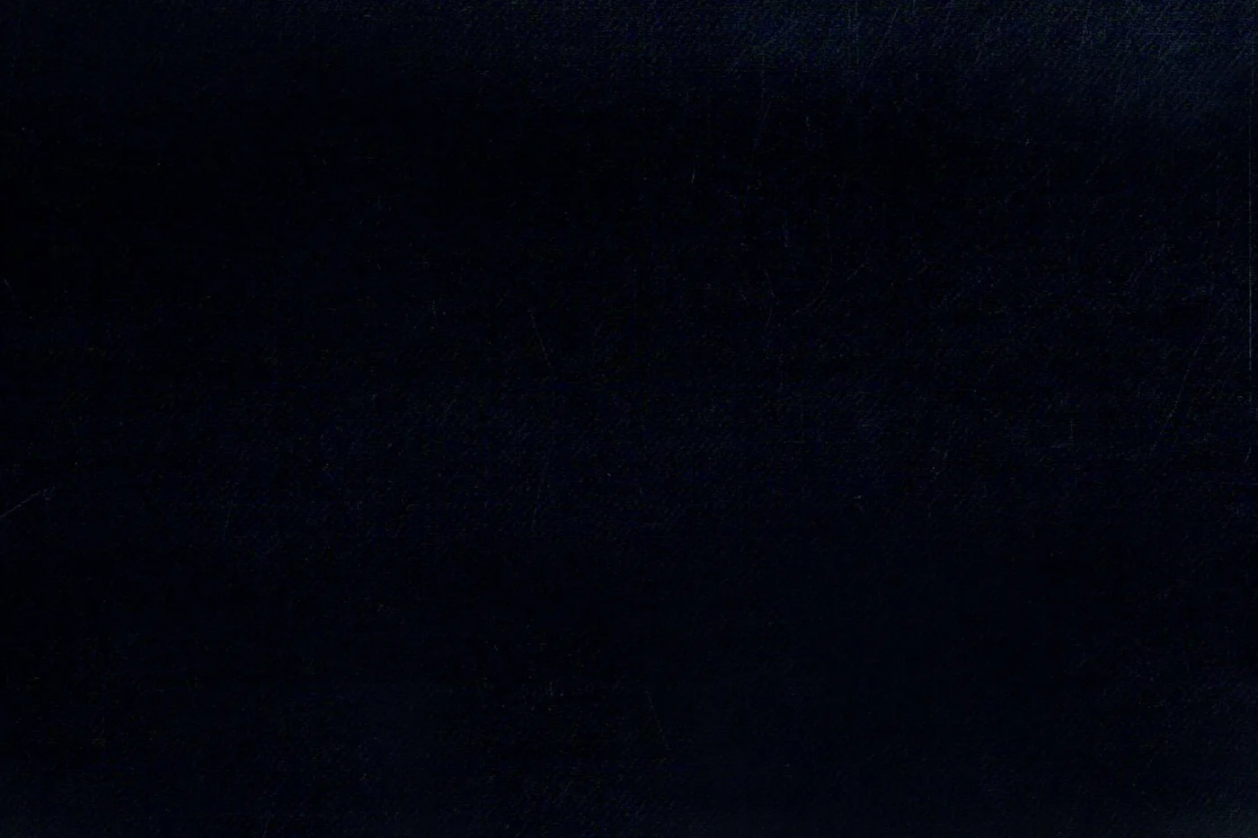 Caesar Romeo 24072-110 DARK NAVY fabric swatch
