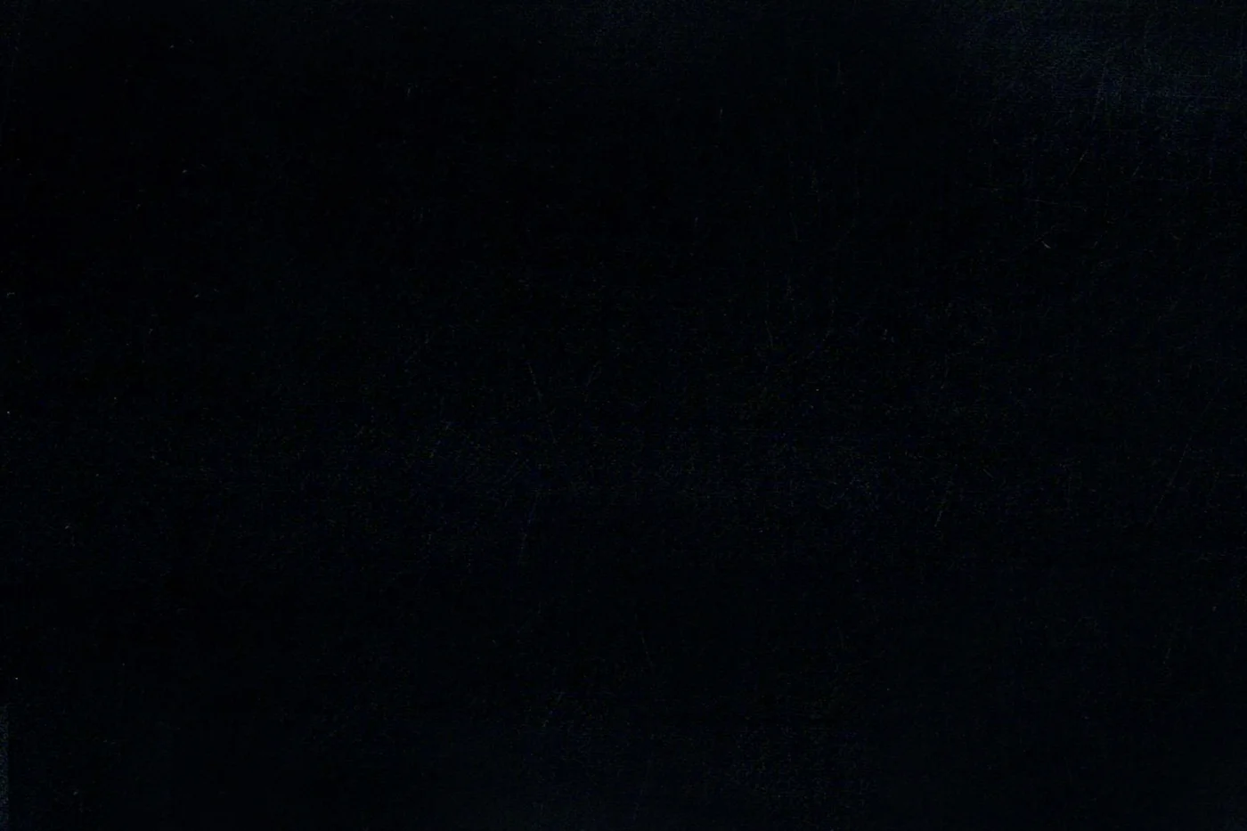 Caesar Romeo 24073-110 BLACK fabric swatch