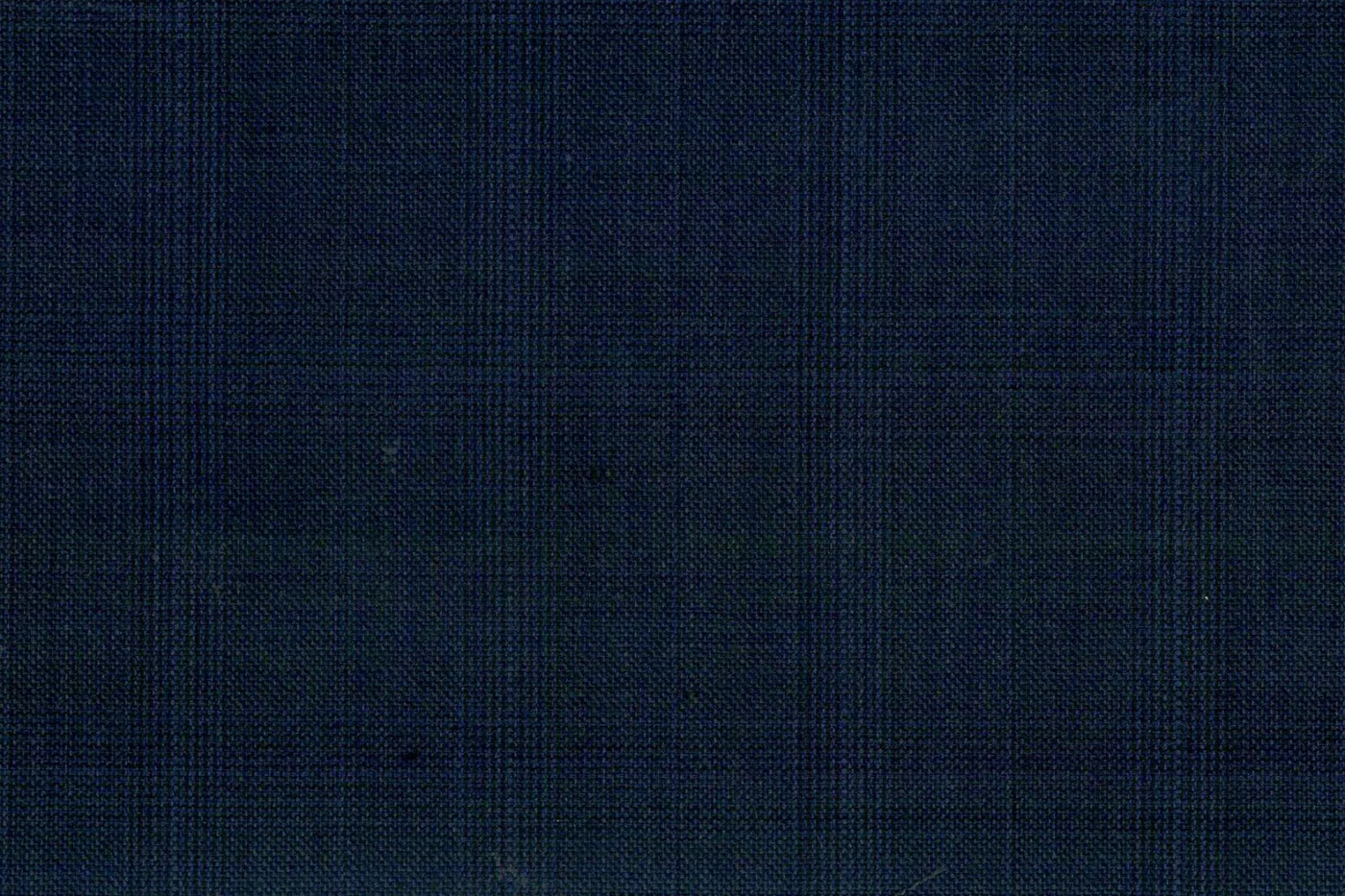 Caesar Romeo 24190-110 BLUE CHECK fabric swatch