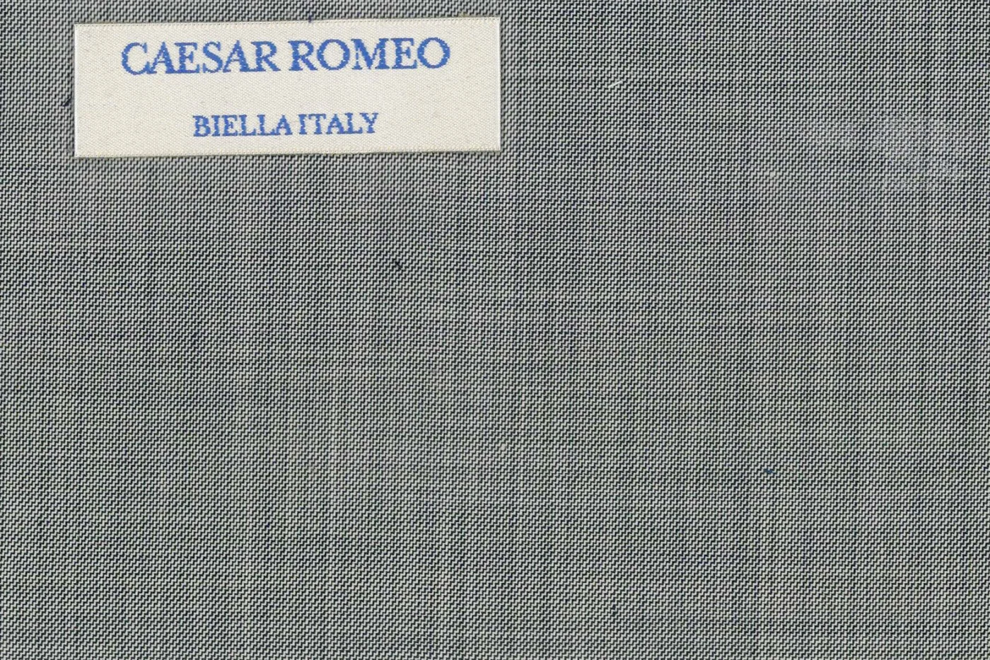Caesar Romeo 24938-110 LIGHT GREY SSKIN fabric swatch