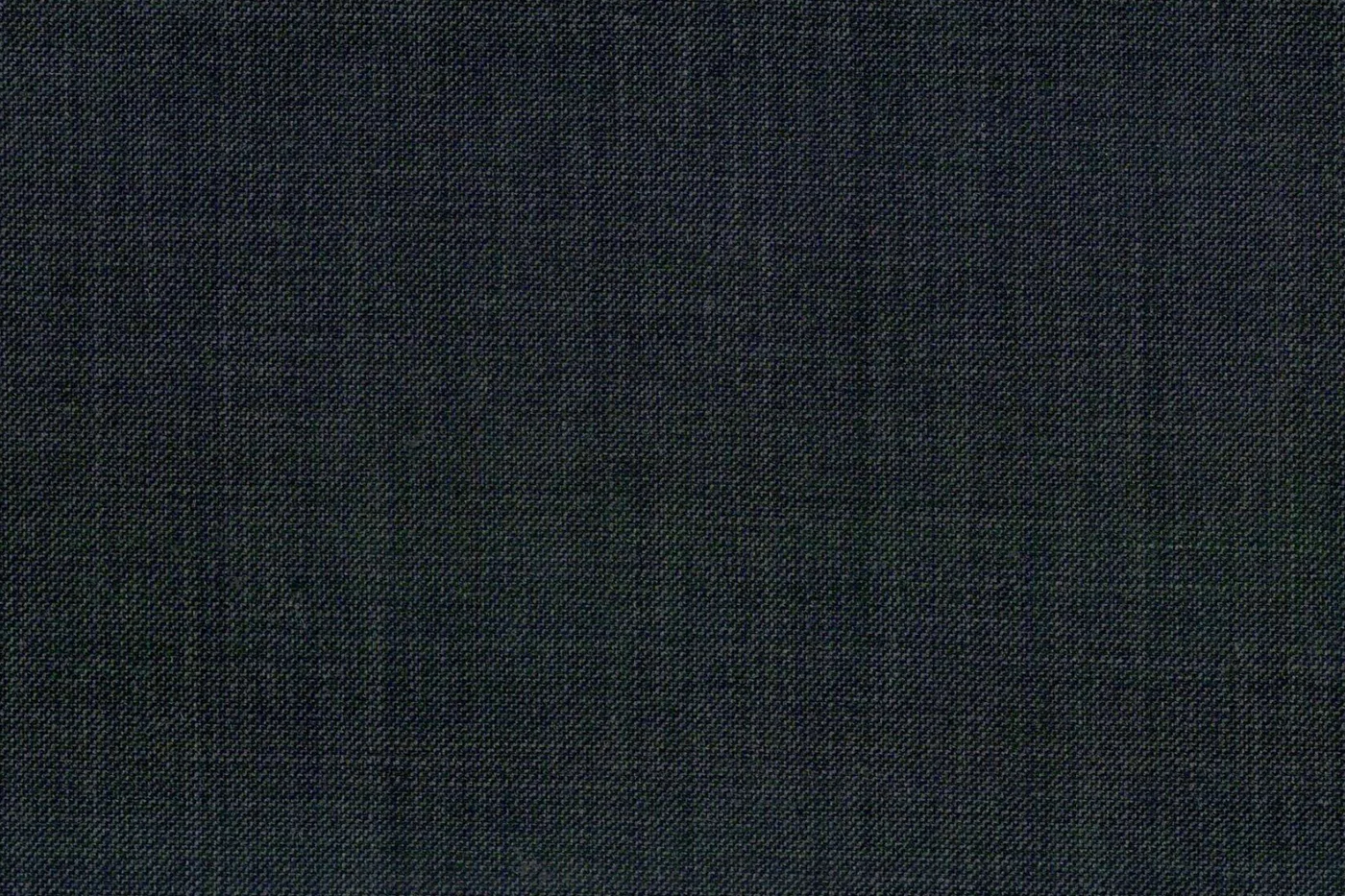Caesar Romeo 24940-110 DARK GREY SSKIN fabric swatch