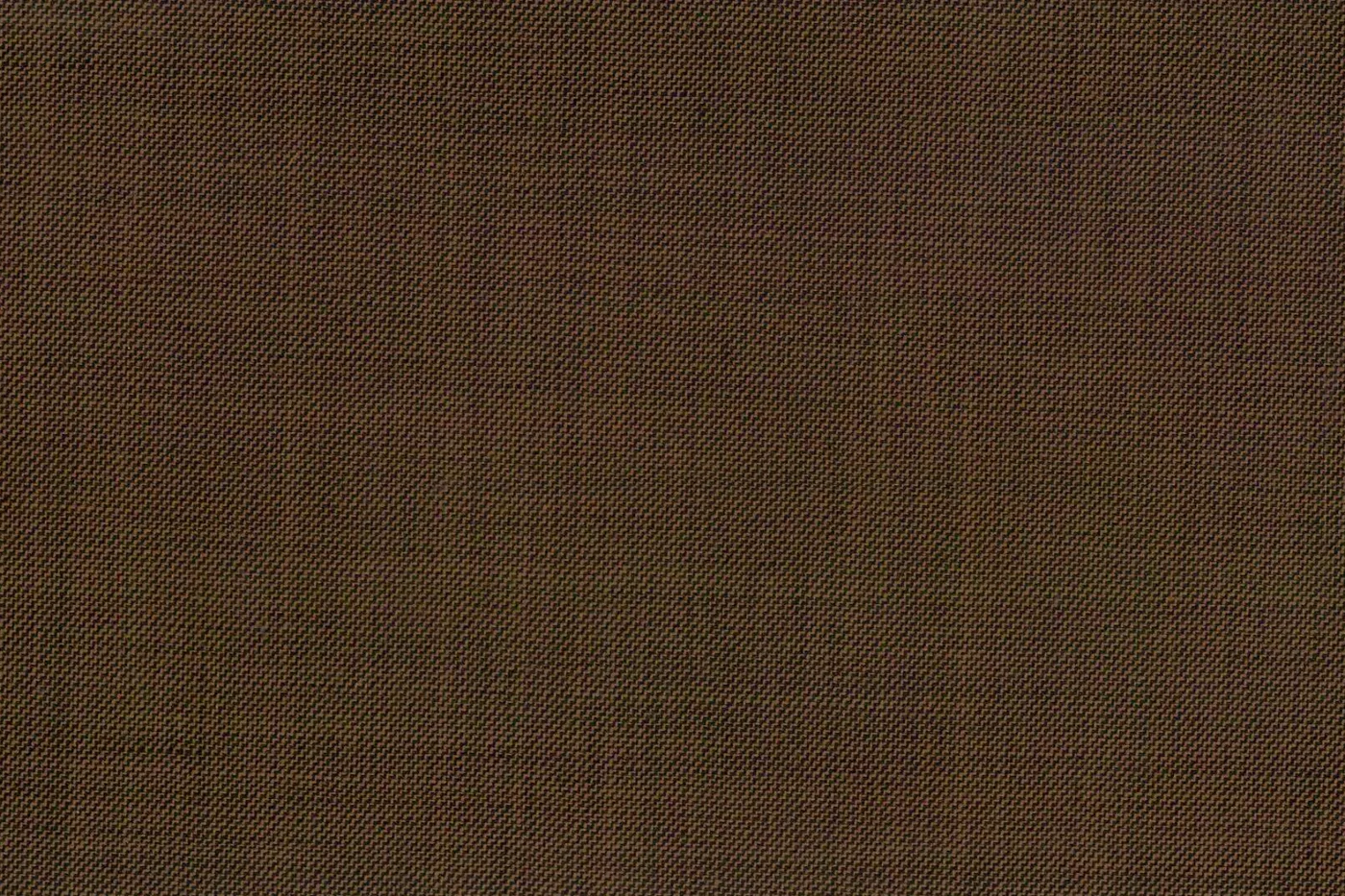 Caesar Romeo 24942-110 BROWN SSKIN fabric swatch