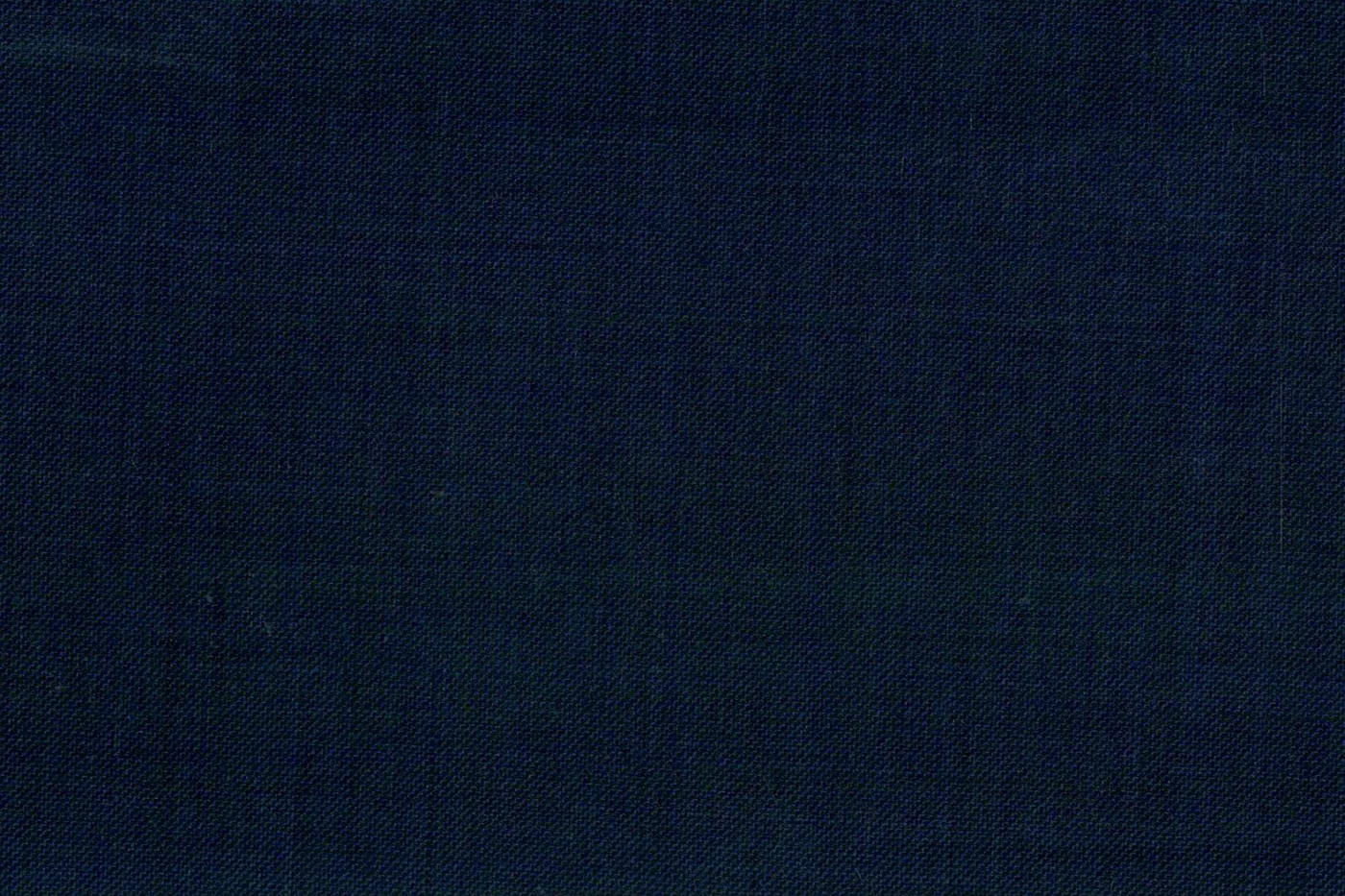 Caesar Romeo 24944-110 NAVY SSKIN fabric swatch