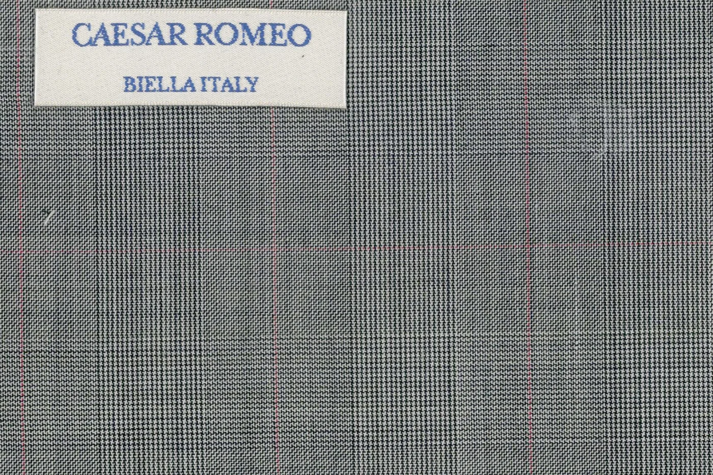 Caesar Romeo 25167-110 LIGHT GREY W/RED CHK fabric swatch