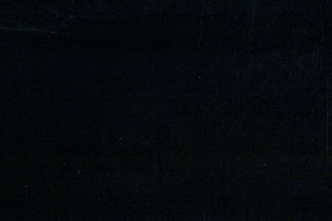 Caesar Romeo 25183-110 BLACK BIRDSEYE fabric swatch