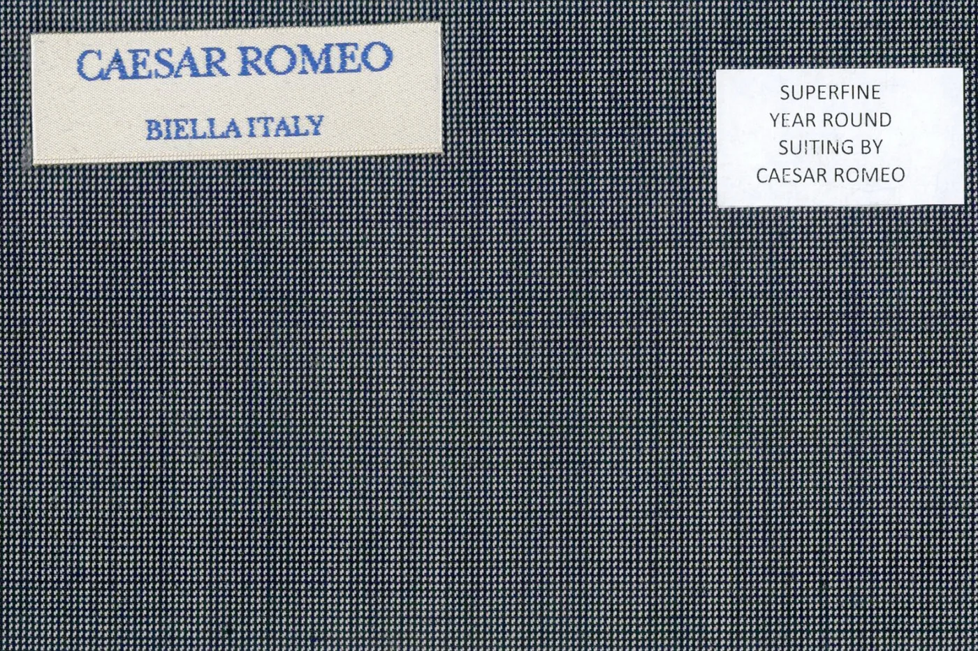 Caesar Romeo 25184-110 LT. GREY NAILHEAD fabric swatch