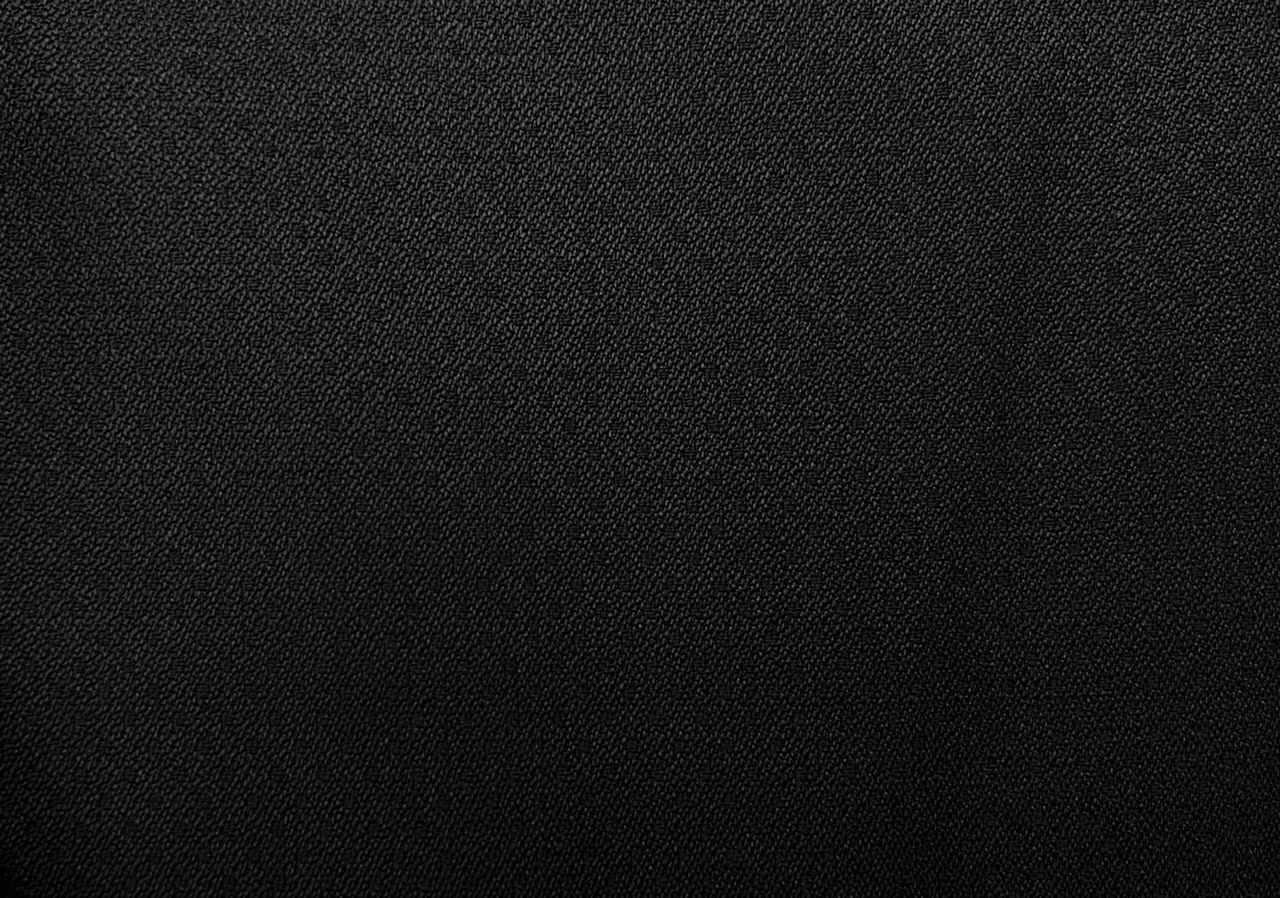 Caesar Romeo 25189-110 BLACK SELF fabric swatch