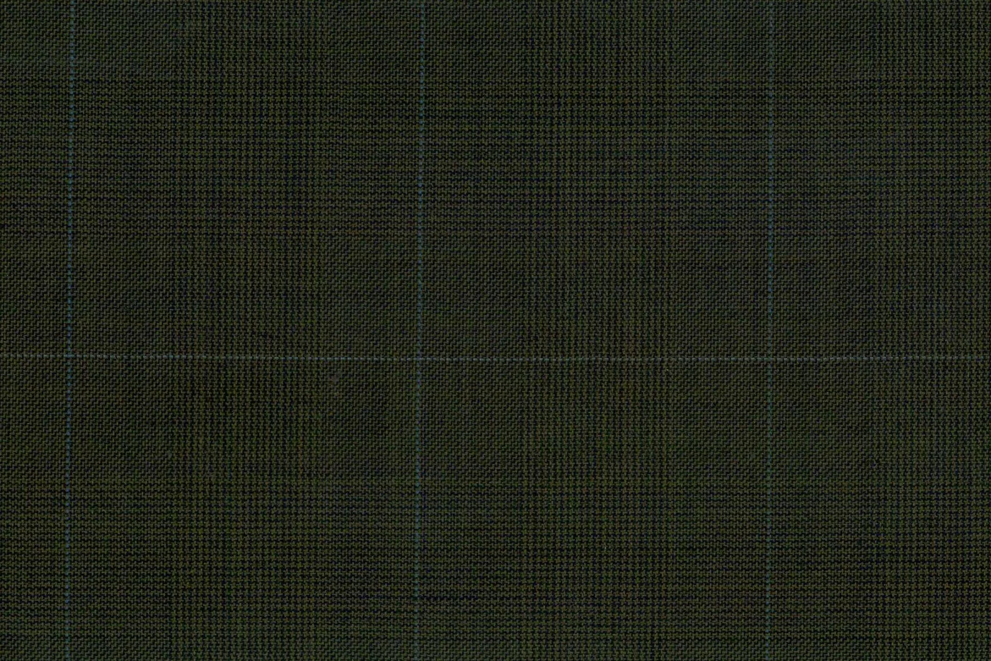 Caesar Romeo 25556-110 OLIVE W/BLUE CHK fabric swatch
