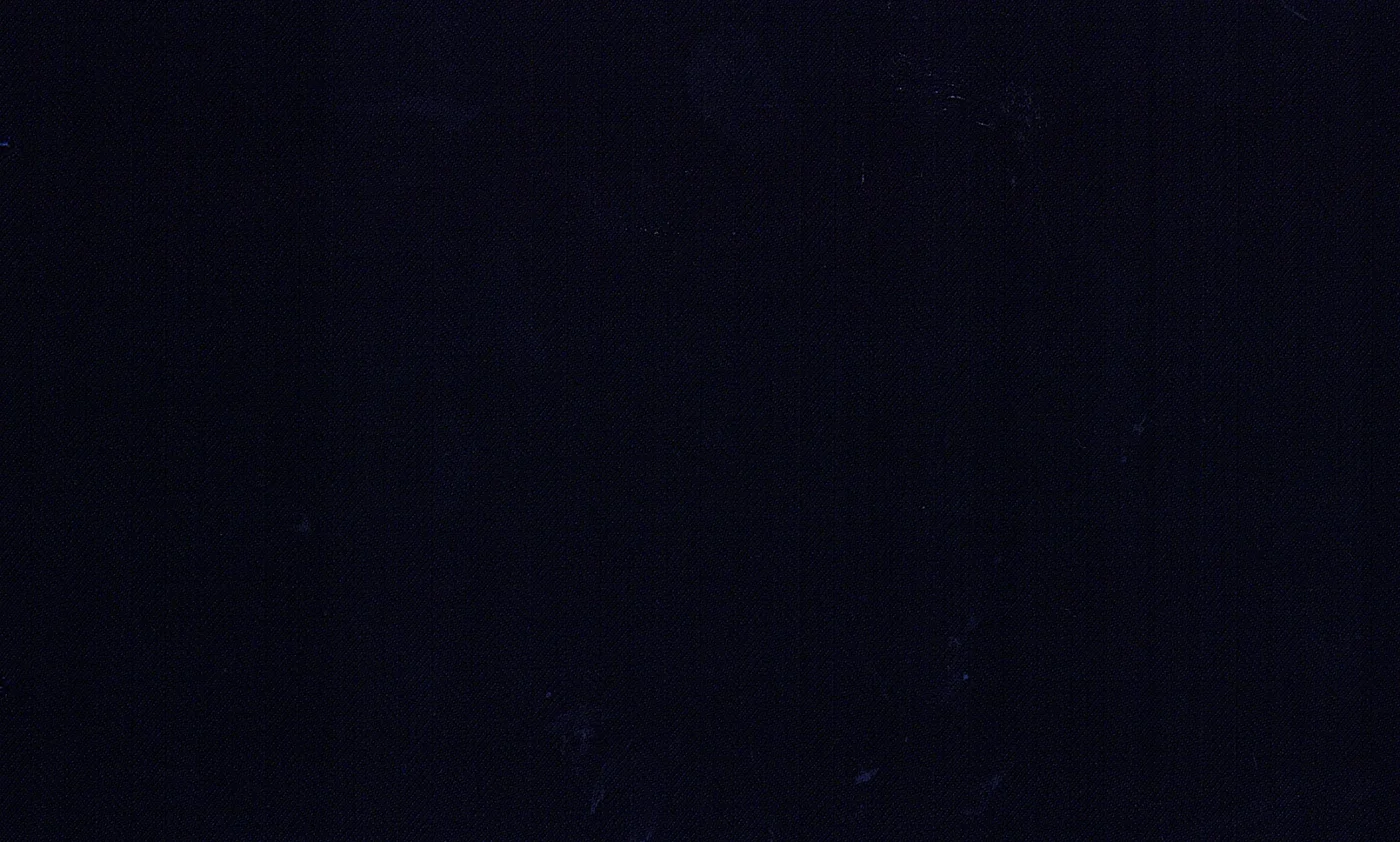 Caesar Romeo 25563-110 NAVY HBONE fabric swatch