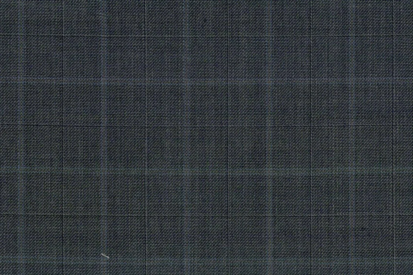 Caesar Romeo 25937-110 GREY WPANE fabric swatch