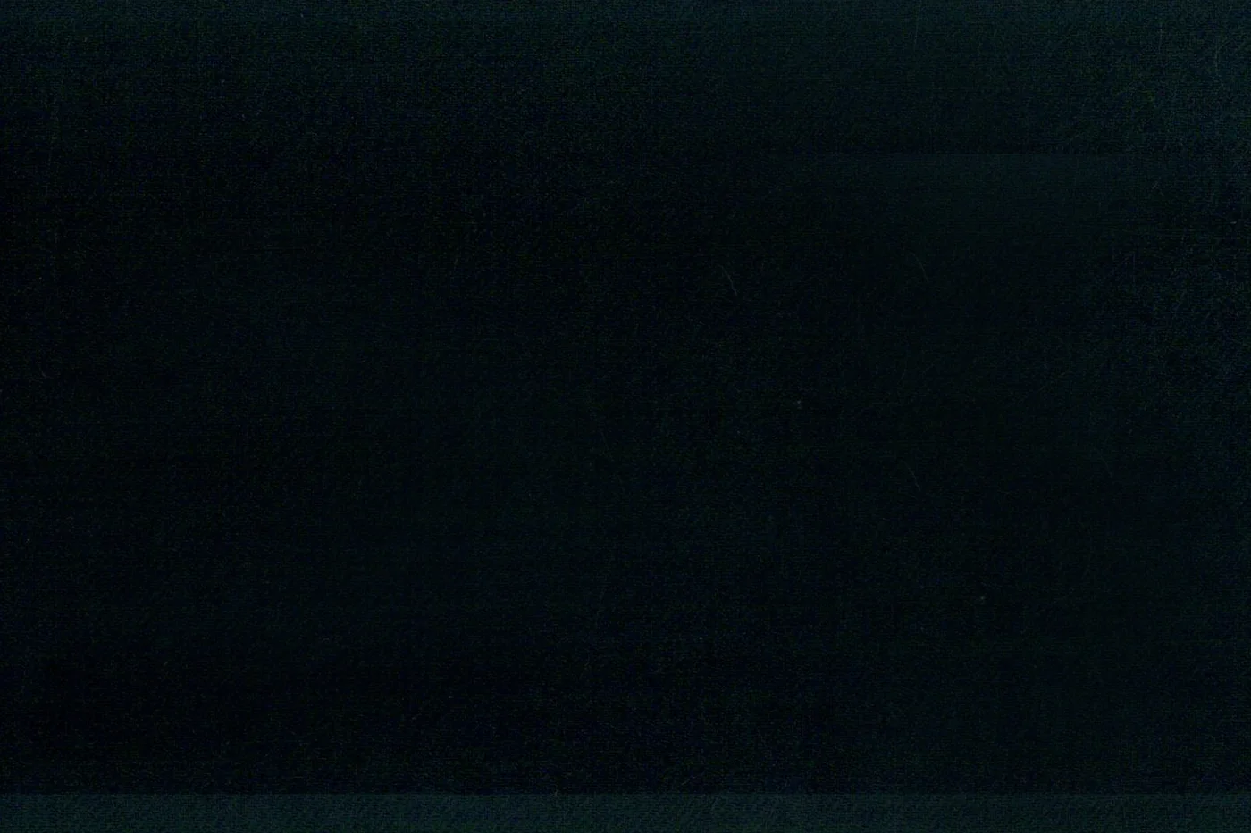Caesar Romeo 25966-110 DARK GREEN fabric swatch