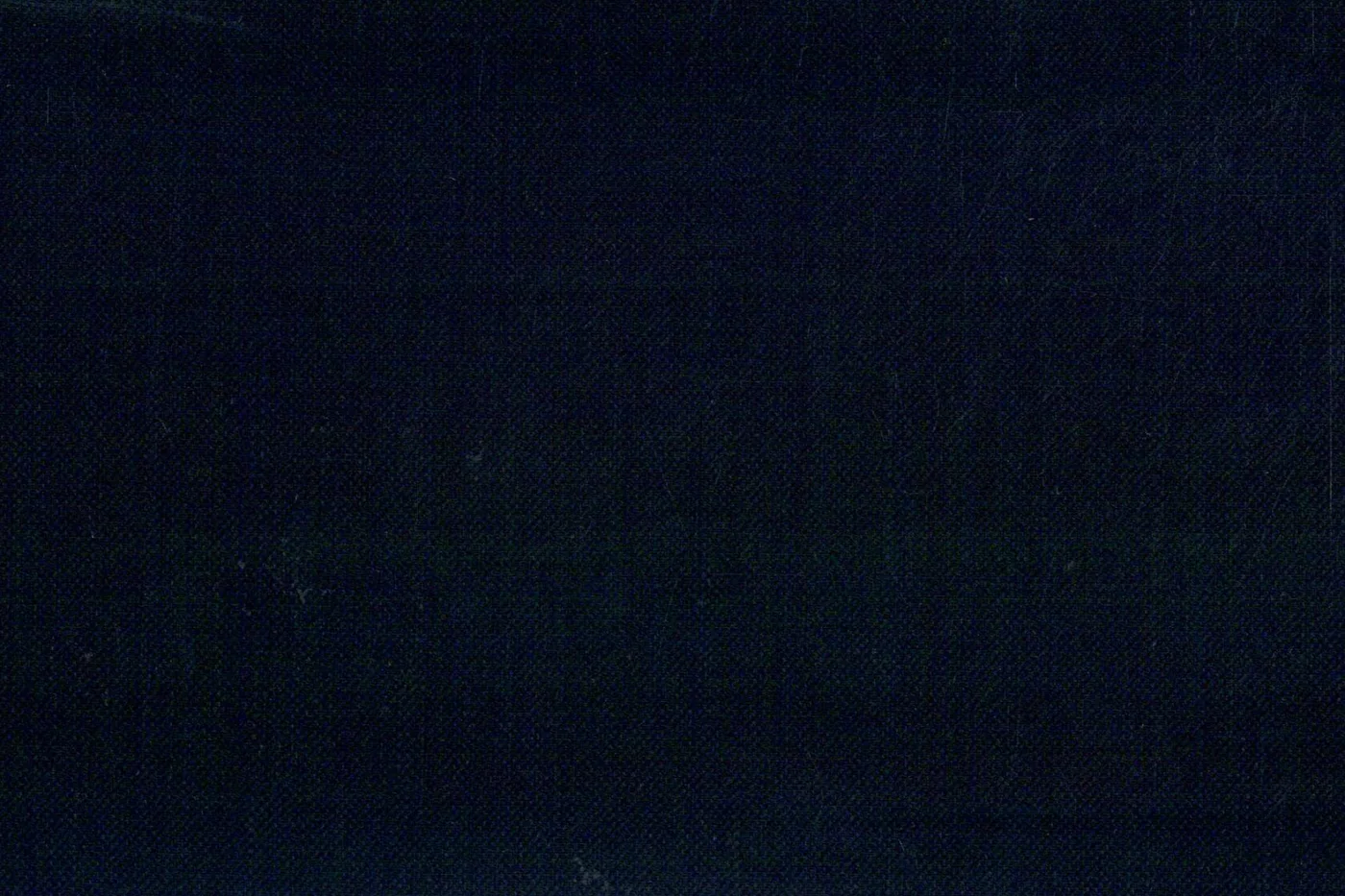 Caesar Romeo 26258-110 D.NAVY SSKIN fabric swatch