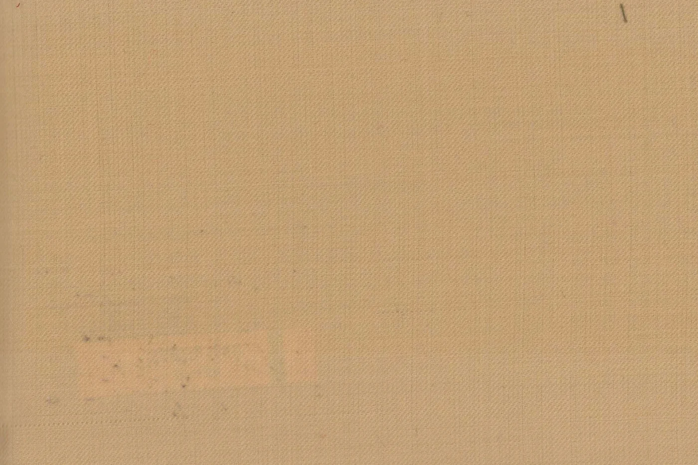Caesar Romeo 27606-110 LIGHT TAN fabric swatch