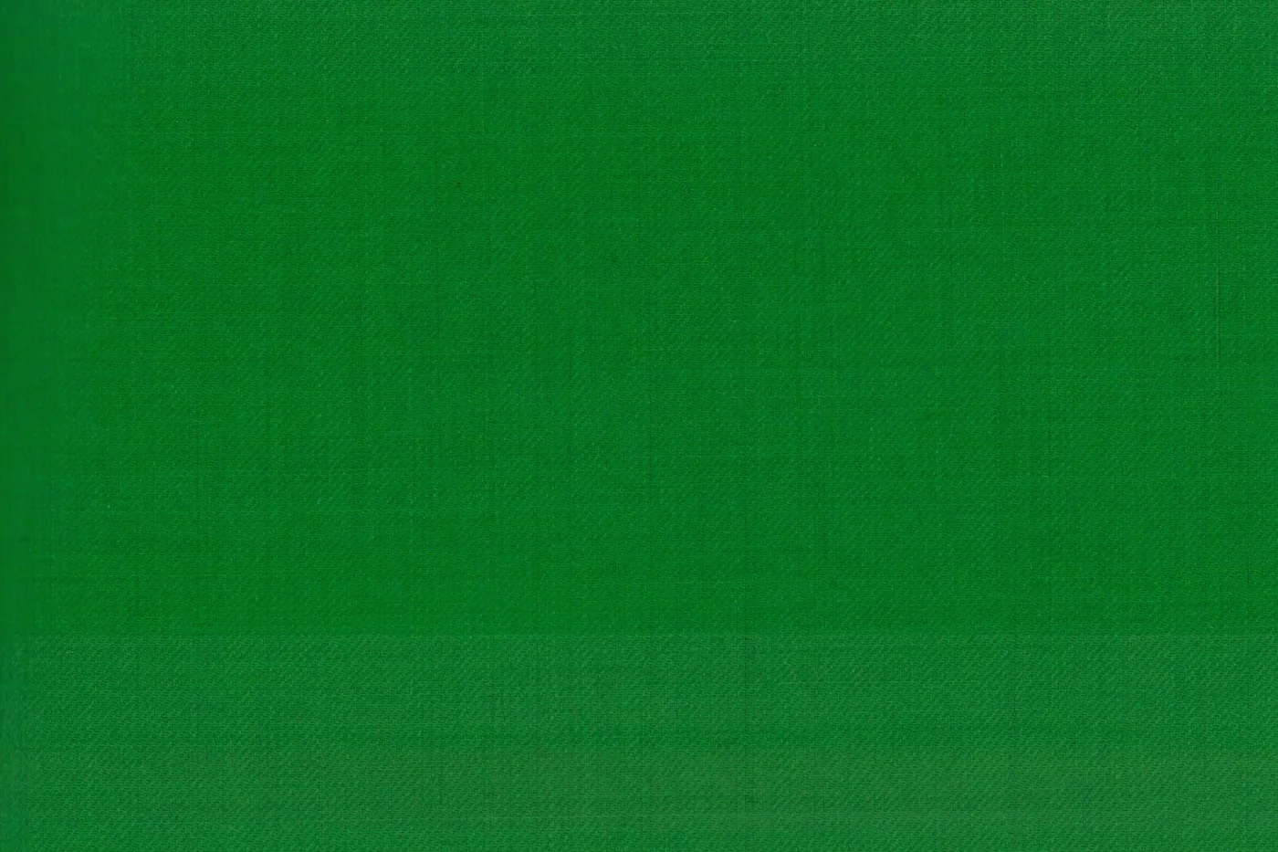 Caesar Romeo 27612-110 FLUORESCENT GREEN fabric swatch