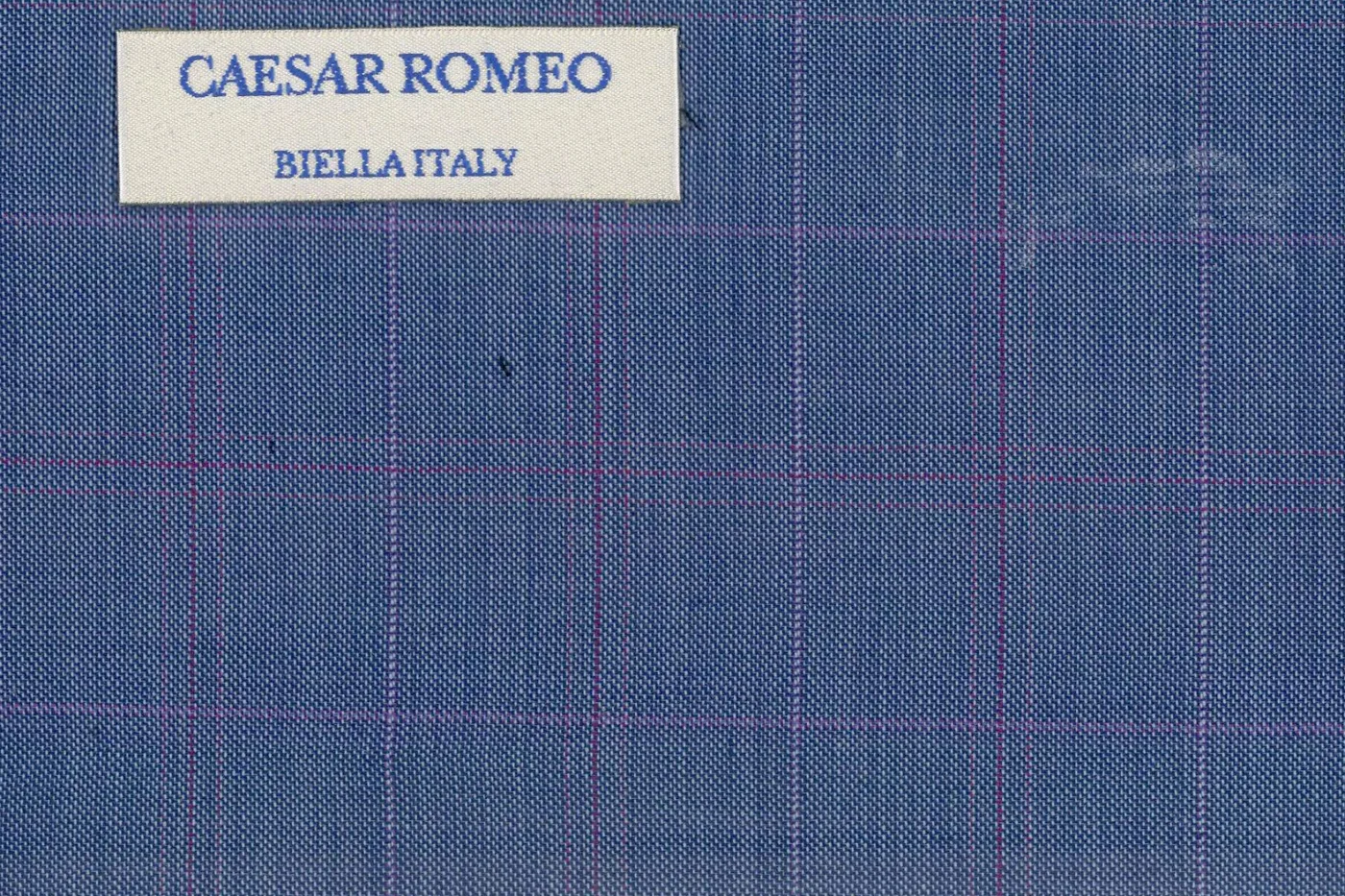 Caesar Romeo 27640-110 MED.BLUE W/PRPL WP fabric swatch