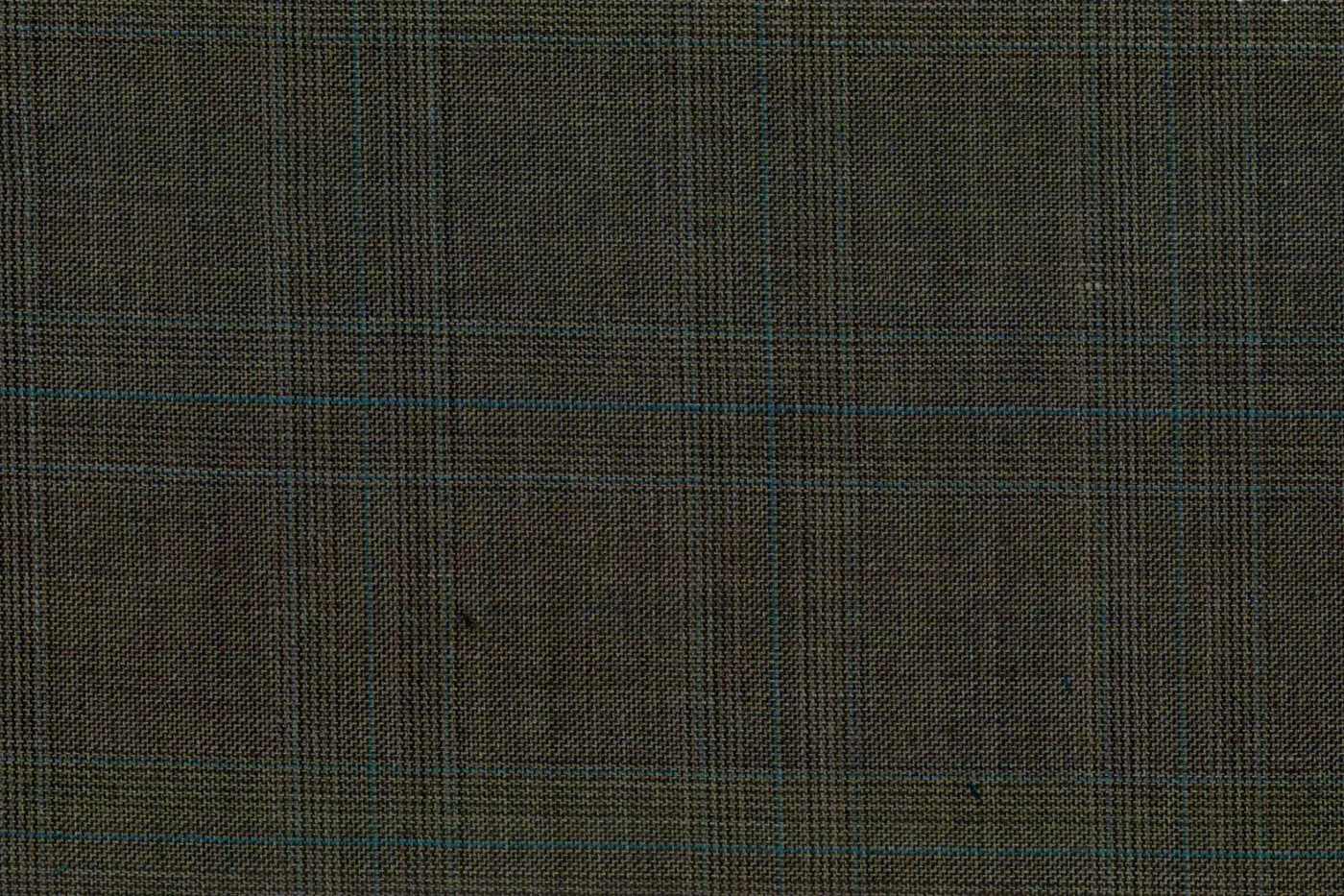 Caesar Romeo 27664-110 OLIVE W/BLUE CHK fabric swatch