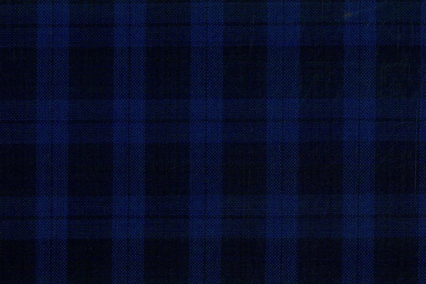 Caesar Romeo 27785-110 BLUE CHECK fabric swatch