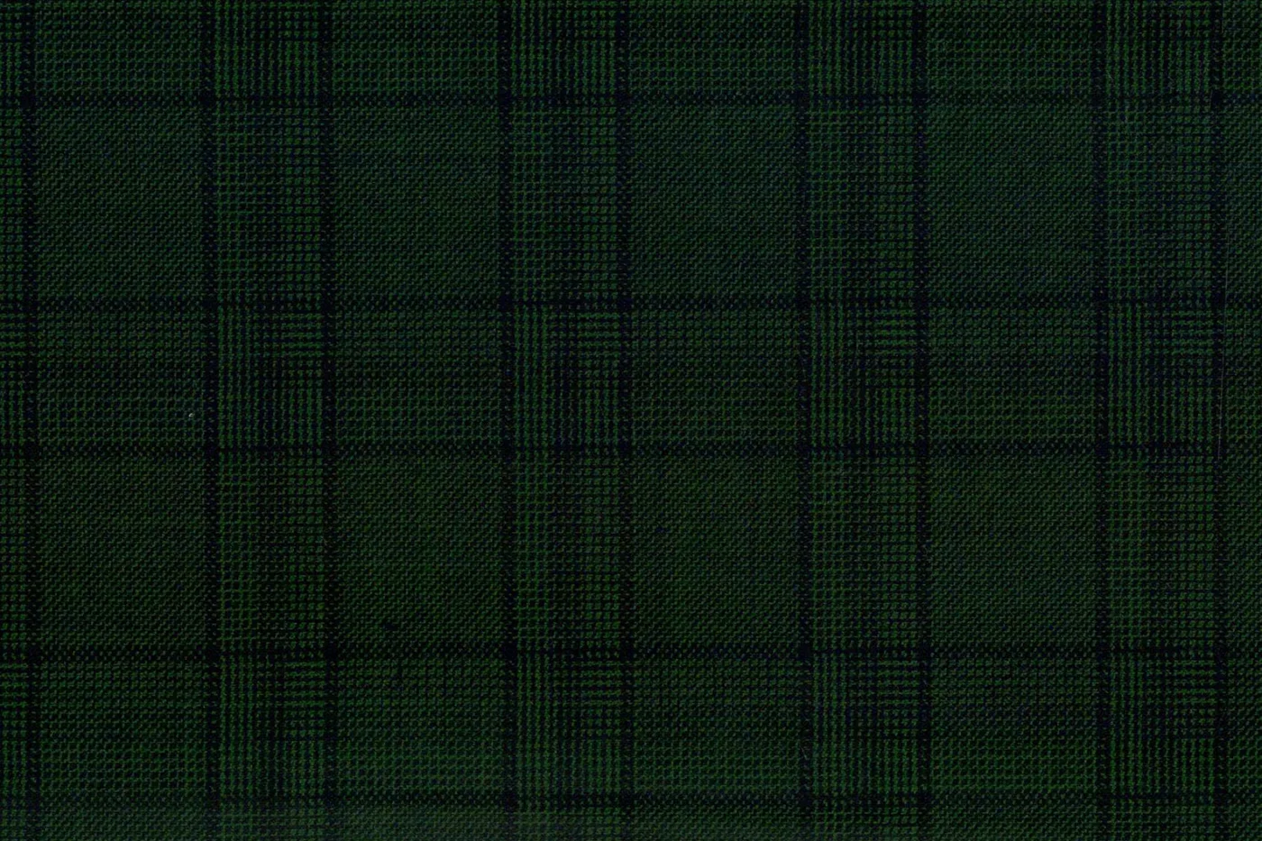 Caesar Romeo 27787-110 GREEN CHECK fabric swatch