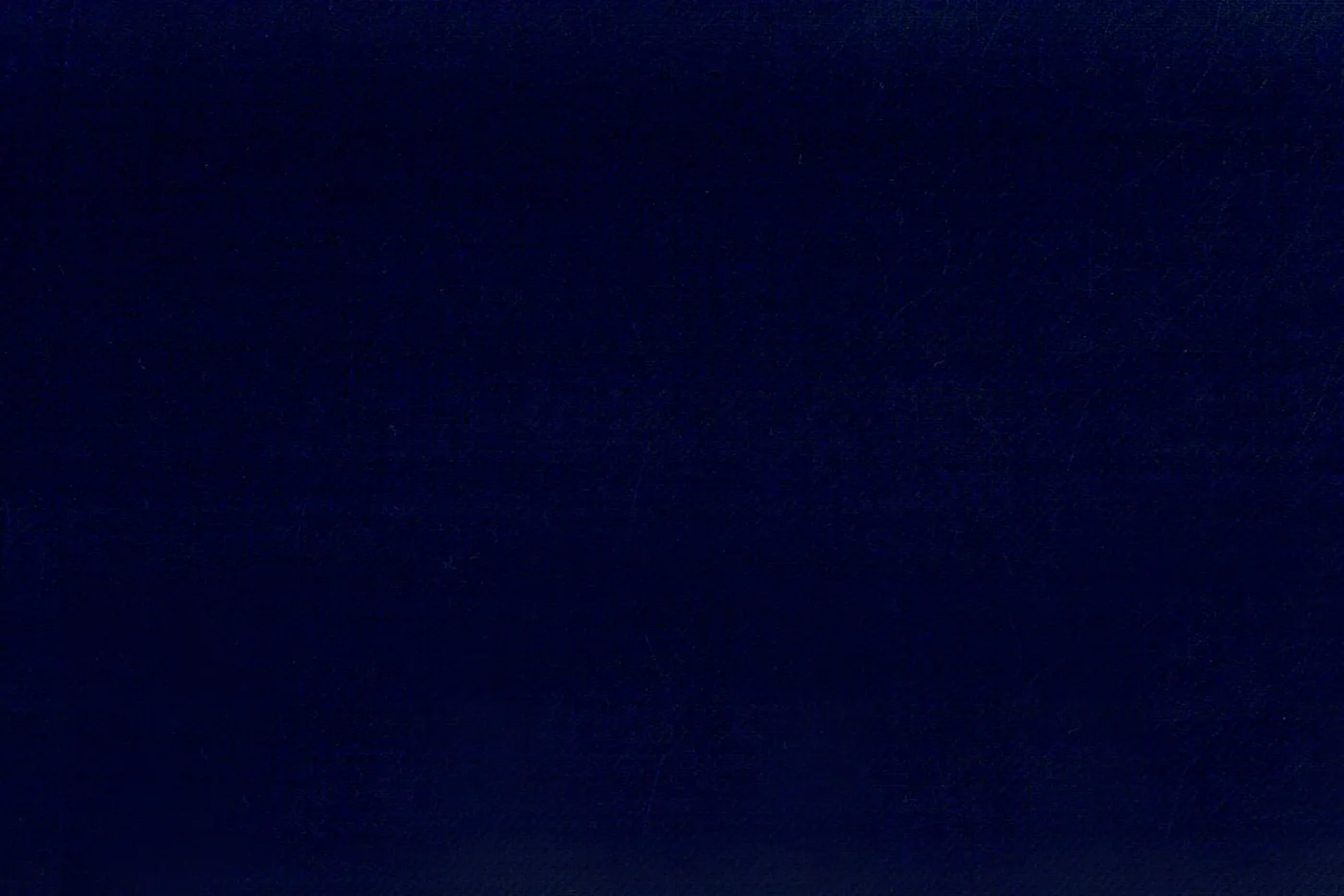 Caesar Romeo 27935-110 LIGHT NAVY fabric swatch