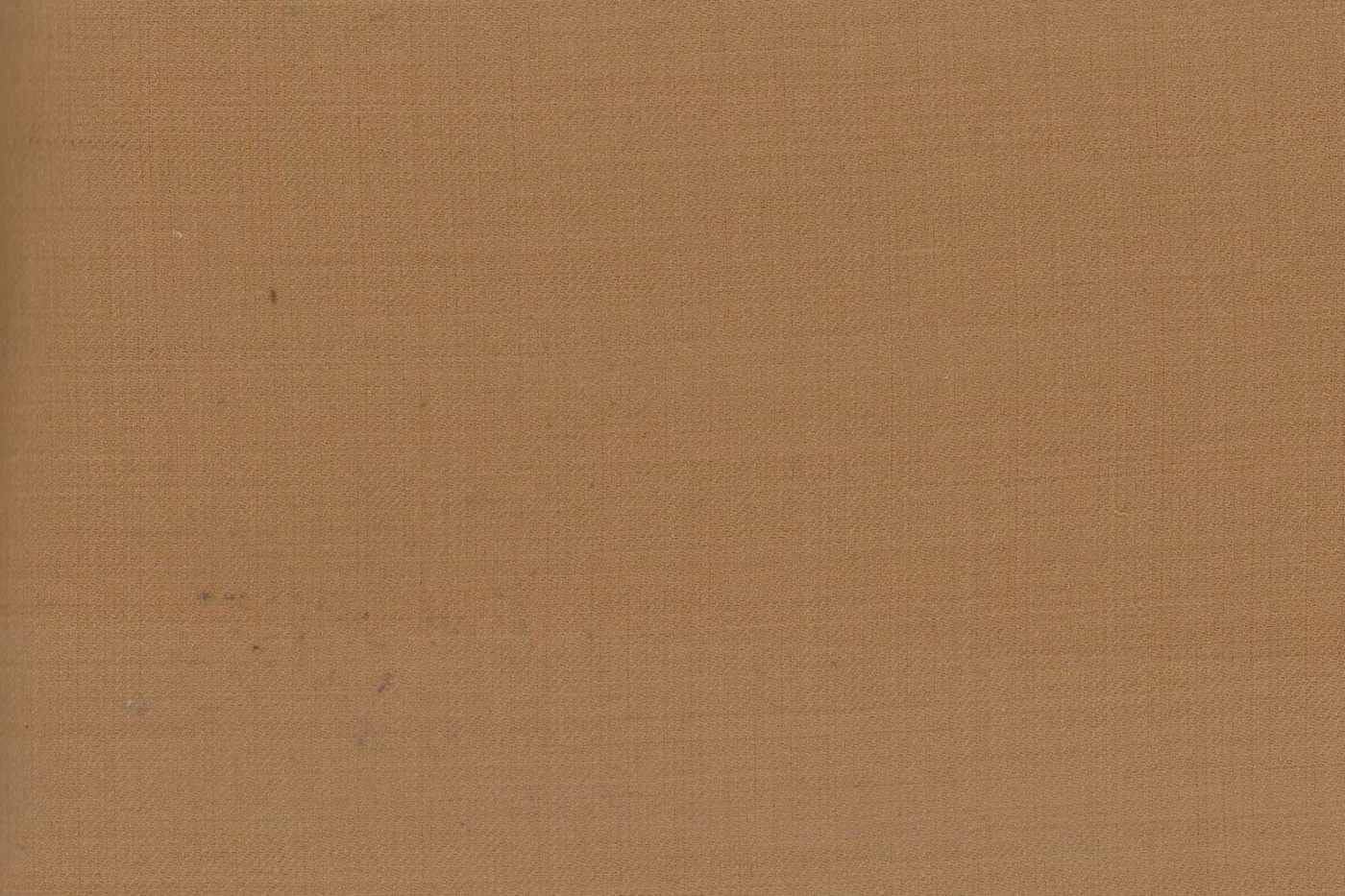 Caesar Romeo 27968-110 FAWN fabric swatch