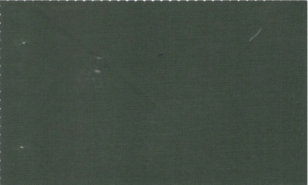 Caesar Romeo 29245-110 Medium Green fabric swatch