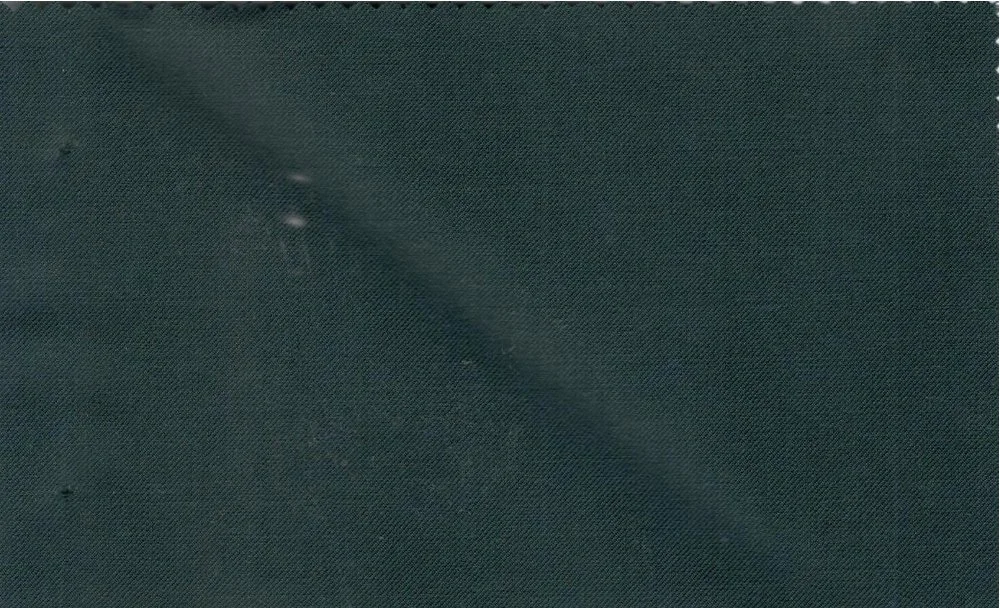 Caesar Romeo 29246-110 Bottle Green fabric swatch