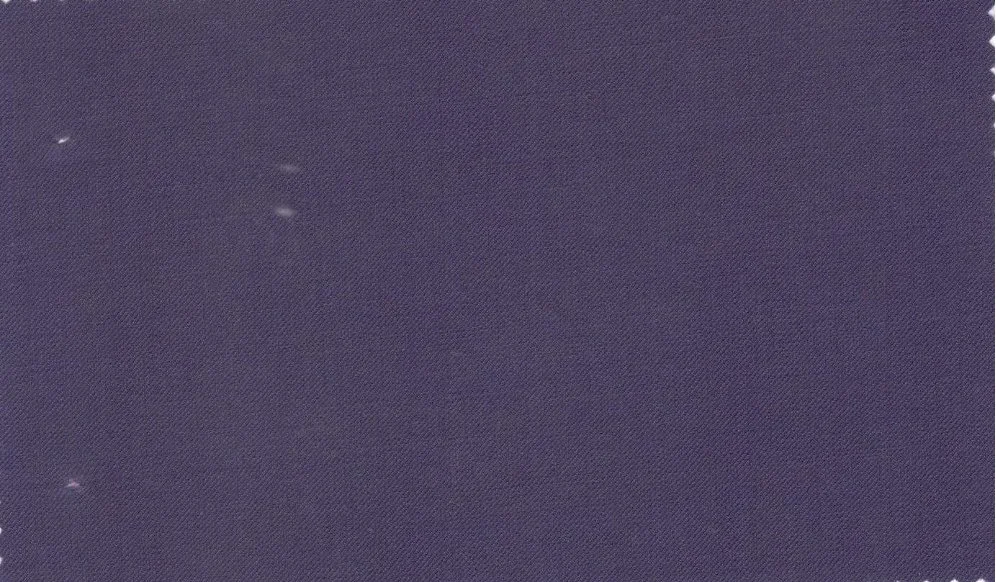 Caesar Romeo 29248-110 Dark Purple fabric swatch