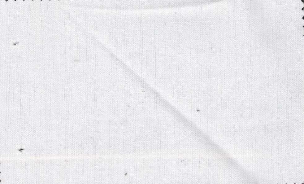 Caesar Romeo 29251-110 White fabric swatch