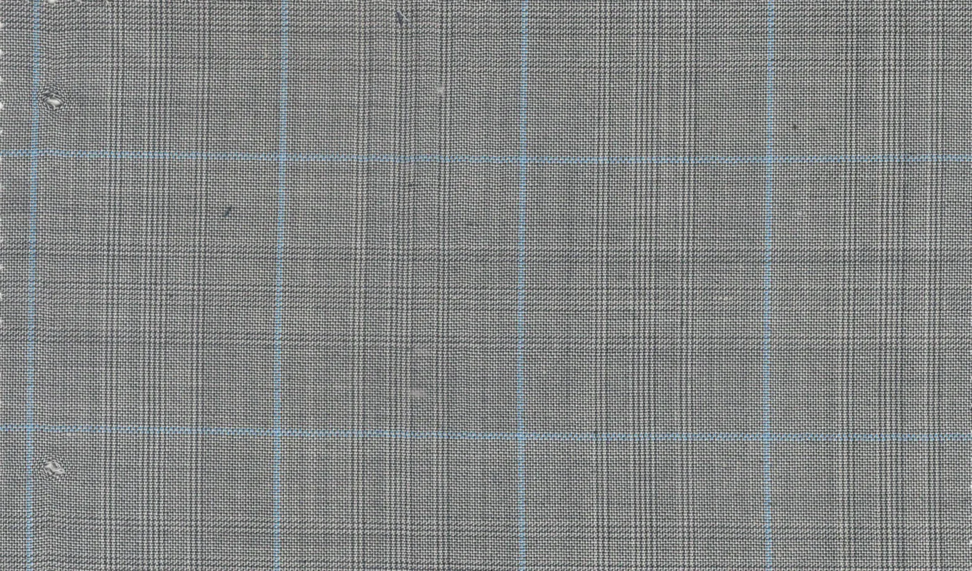 Caesar Romeo 29634-110 Lt. Grey w/ Lt. Blue Check fabric swatch