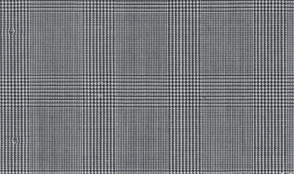 Caesar Romeo 29942-110 Light Grey Check fabric swatch