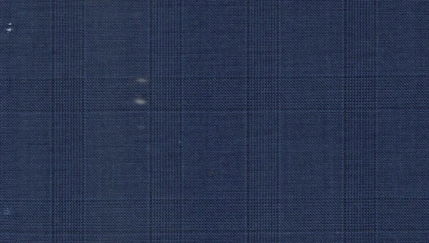 Caesar Romeo 29947-110 Light Navy Check fabric swatch