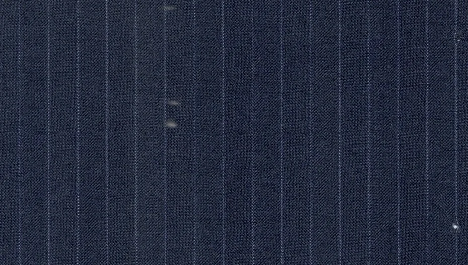 Caesar Romeo 29950-110 Dark Blue Stripe fabric swatch