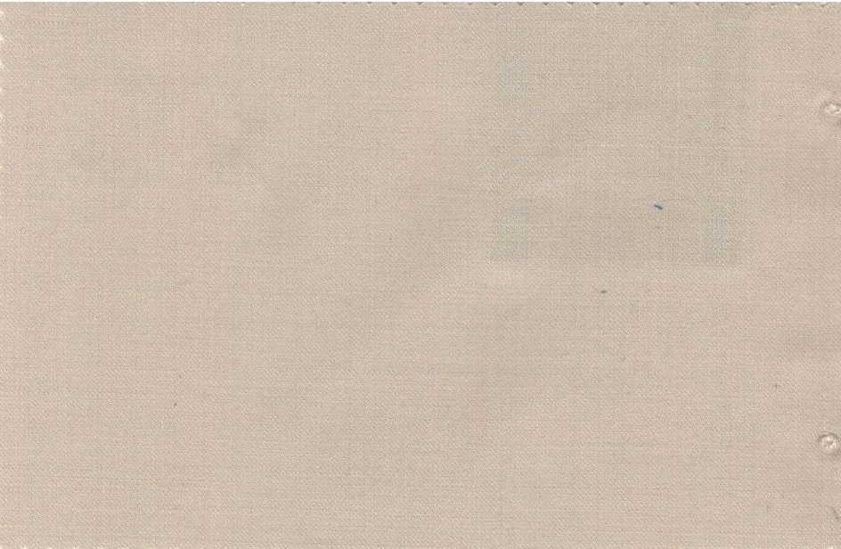 Caesar Romeo 30204-110 Light Tan fabric swatch