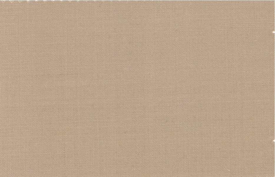 Caesar Romeo 30206-110 Tan fabric swatch