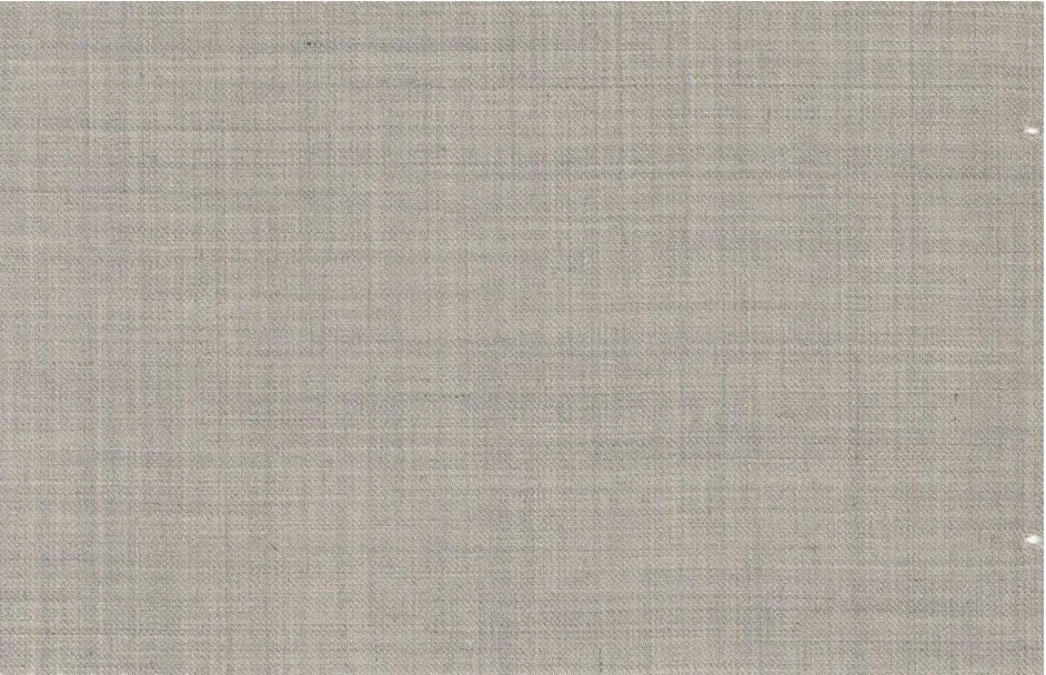 Caesar Romeo 30208-110 Light Sage fabric swatch