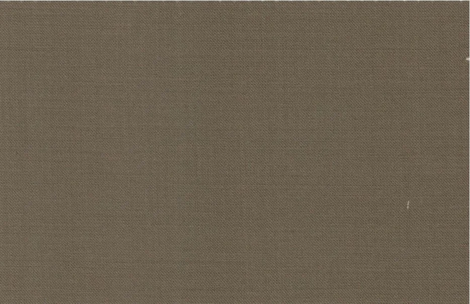 Caesar Romeo 30209-110 Taupe fabric swatch