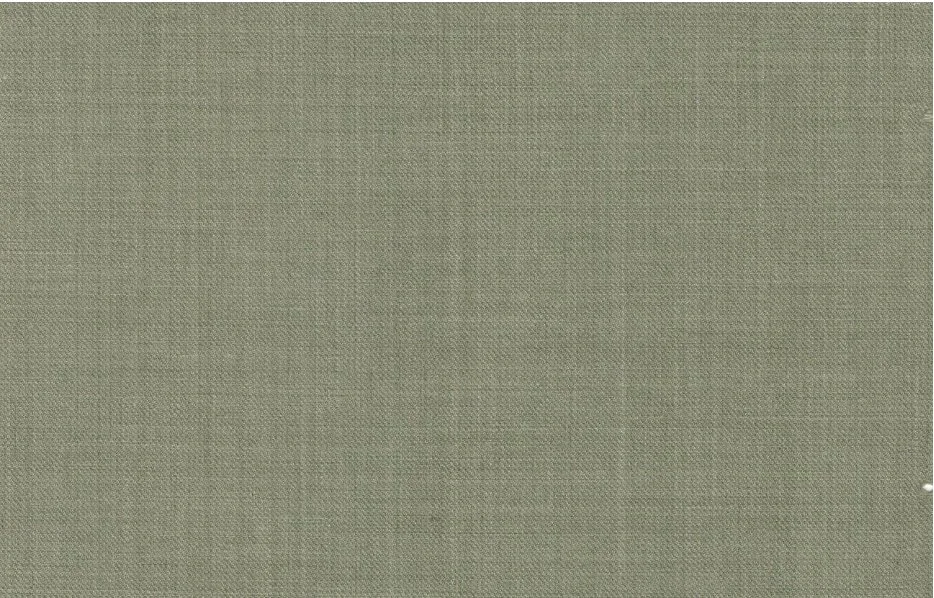 Caesar Romeo 30210-110 Light Green fabric swatch