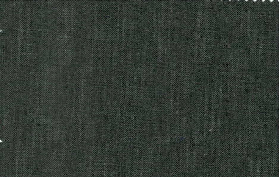 Caesar Romeo 30214-110 Dark Green Sharkskin fabric swatch