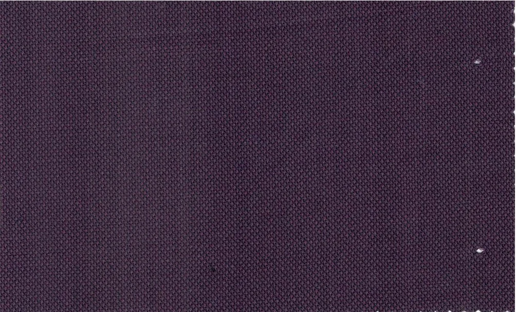 Caesar Romeo 30215-110 Purple Birdseye fabric swatch