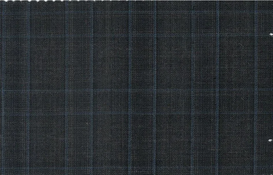 Caesar Romeo 30225-110 Dark Grey w/ Blue Windowpane fabric swatch