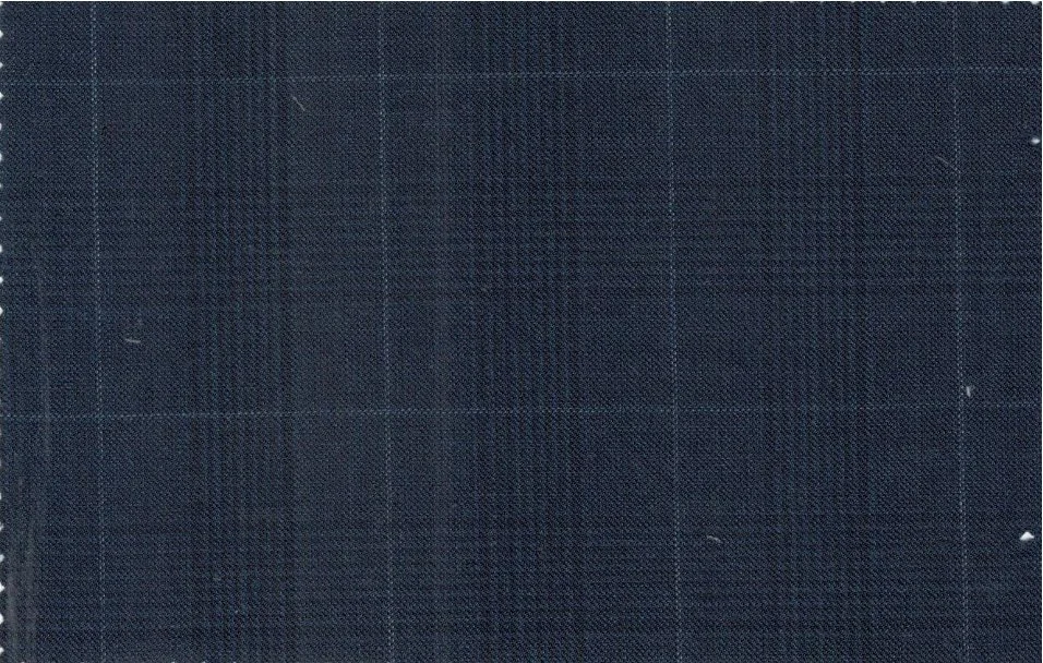 Caesar Romeo 30229-110 Blue Check fabric swatch