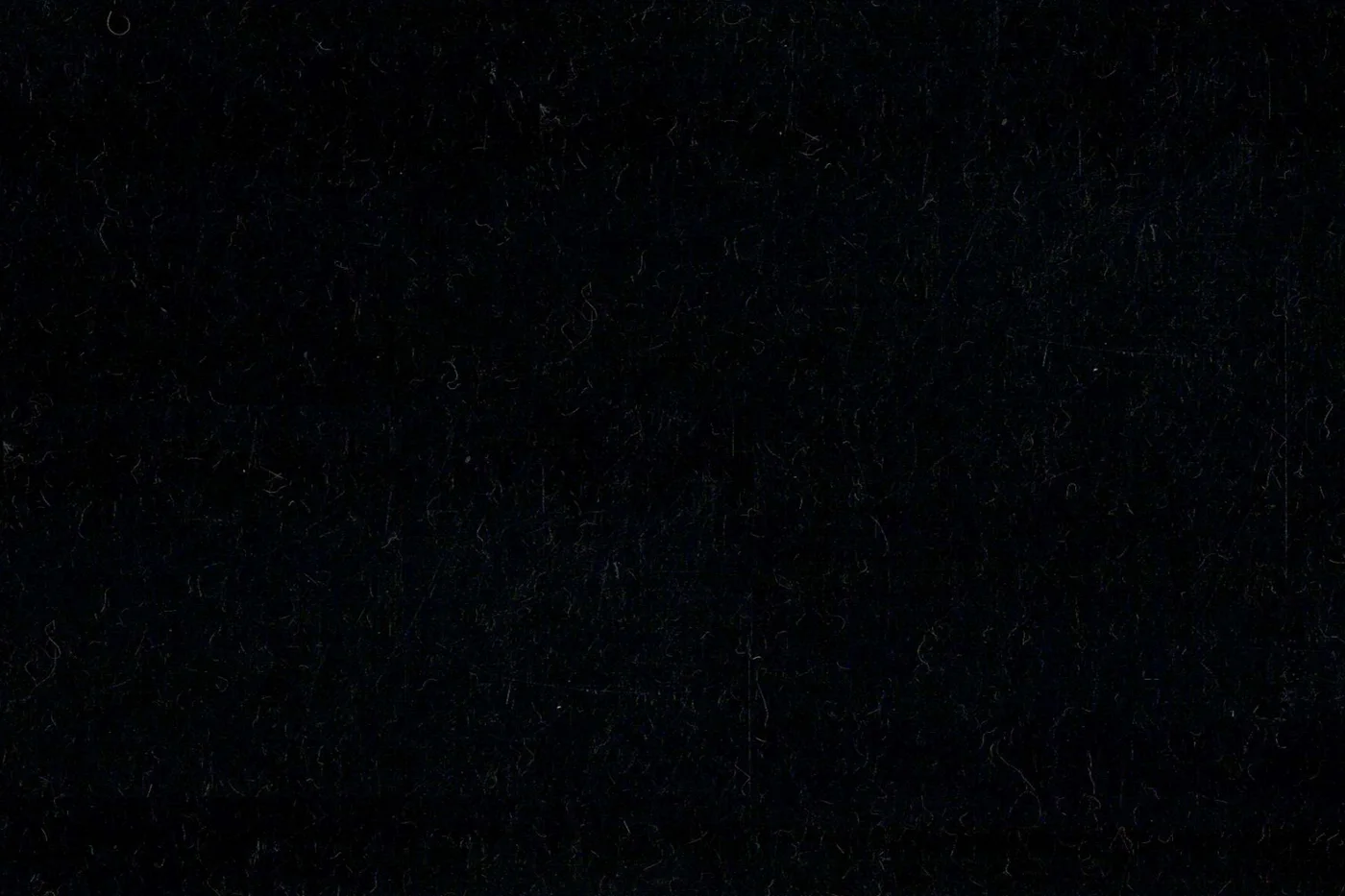 Camel Hair 27523-480 BLACK fabric swatch