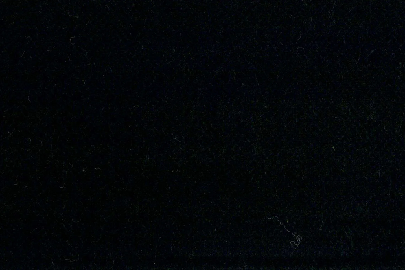Devonshire Tweeds 27340-195 BLACK HBONE fabric swatch