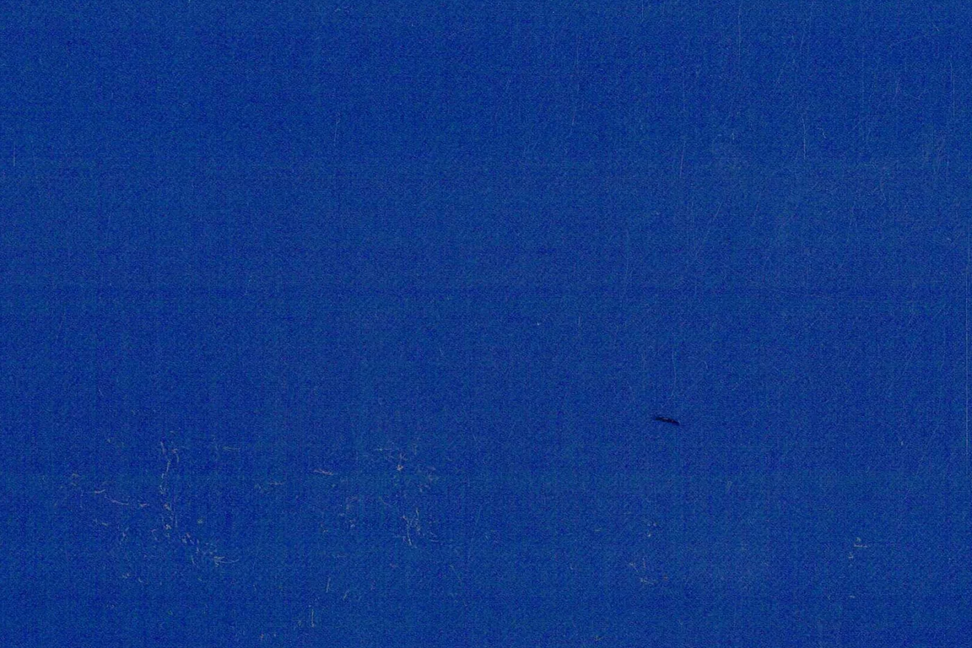 Dormeuil 15.8 Super 150's 28286-880 COBALT BLUE fabric swatch